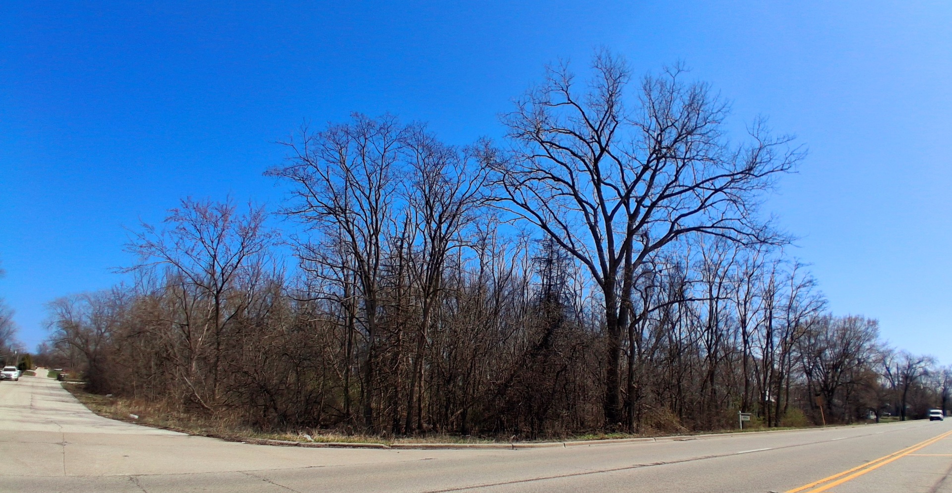 36245 North Green Bay Road Waukegan, IL 60087 - Photo 8 of 11 a view of a backyard