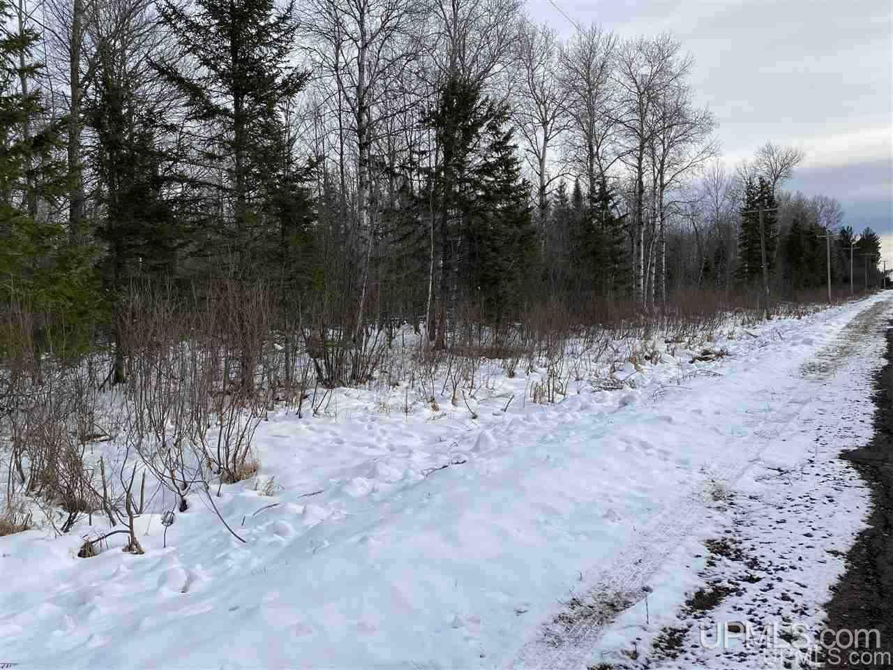 On South Barber Road Bessemer, MI 49911 - Photo 17 of 21 Gallery Image 17