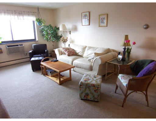 35 Glencoe Street, Unit 43 Boston, MA 02135 - Photo 8 of 19 a living room with furniture and a potted plant