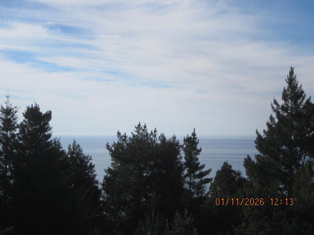2715 Toth Road Shelter Cove, CA 95589 - Photo 14 of 27 IMG_0764