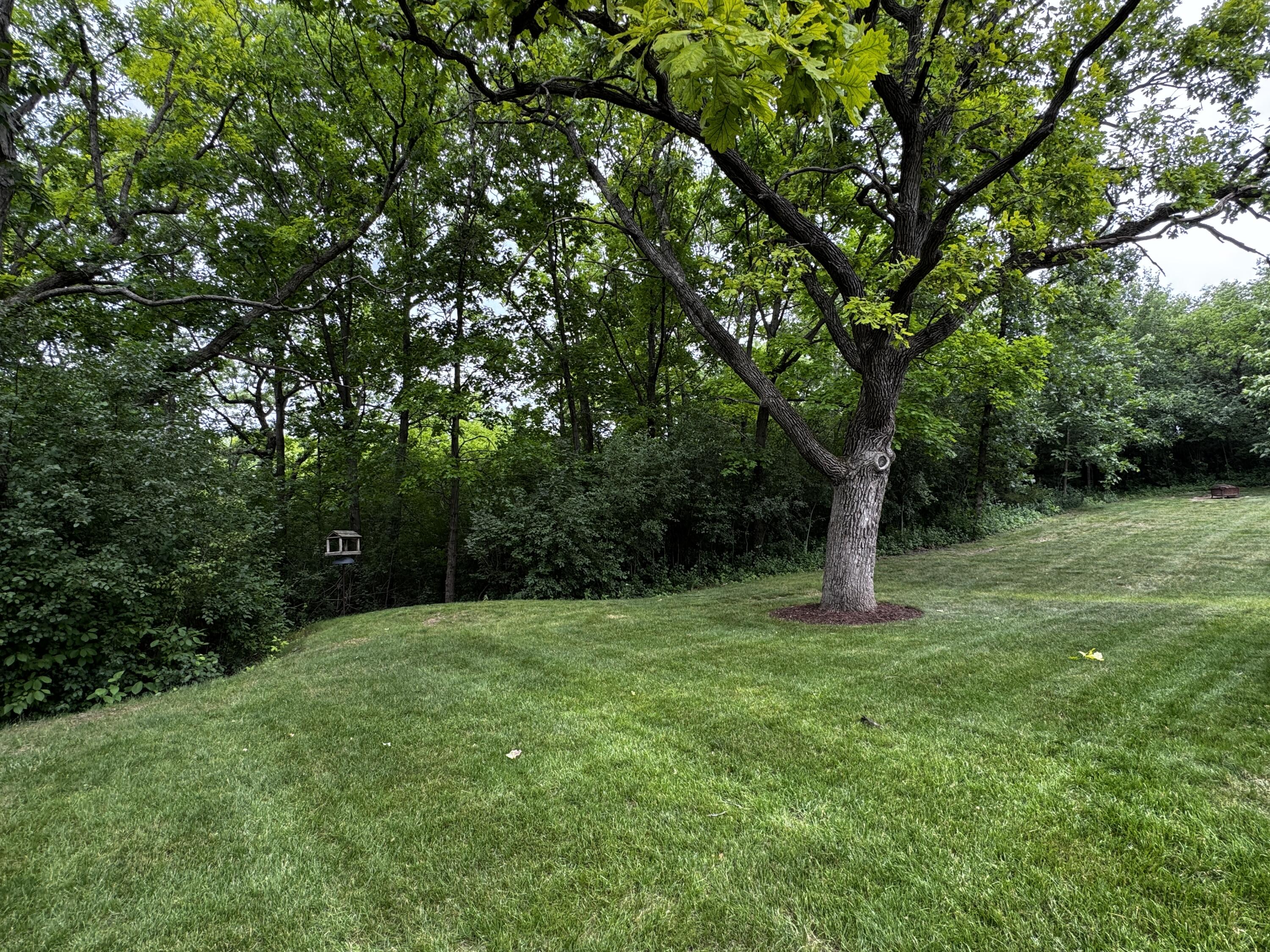 N62-w28550 Rybeck Road Merton, WI 53029 - Photo 28 of 28 Backyard
