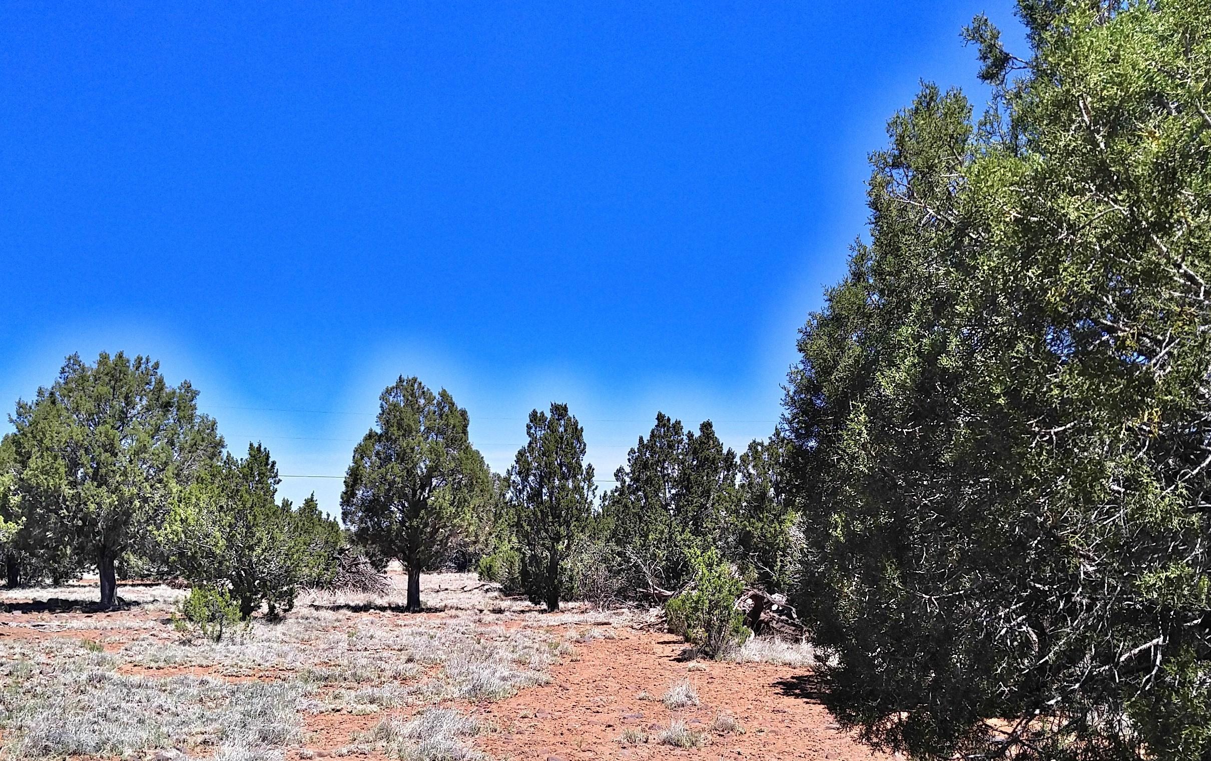 2091 Parker Ranch Road Show Low, AZ 85901 - Photo 2 of 15