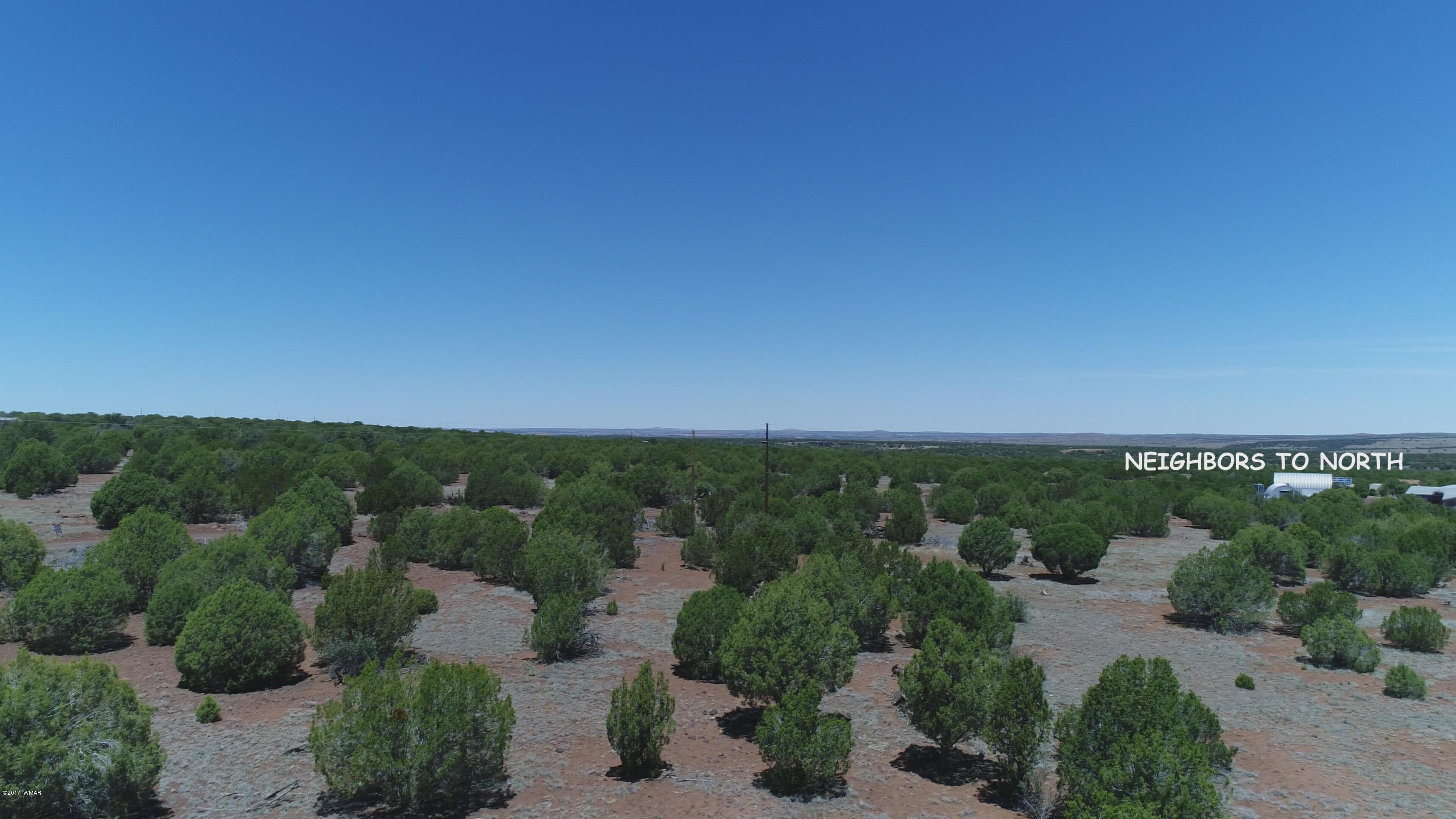 2091 Parker Ranch Road Show Low, AZ 85901 - Photo 3 of 15
