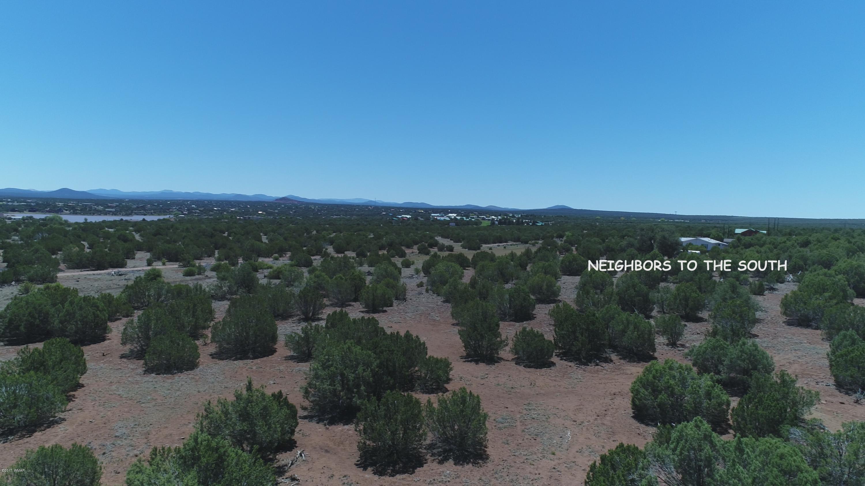 2091 Parker Ranch Road Show Low, AZ 85901 - Photo 4 of 15