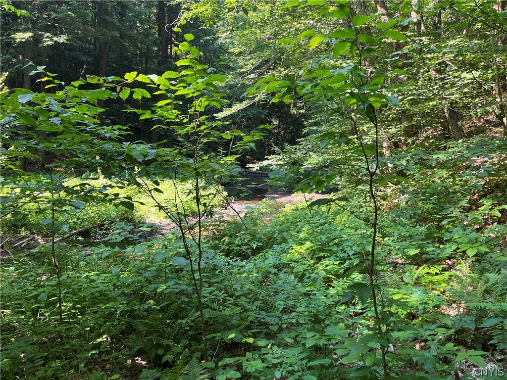 Center Road Lacona, NY 13083 - Photo 25 of 38
