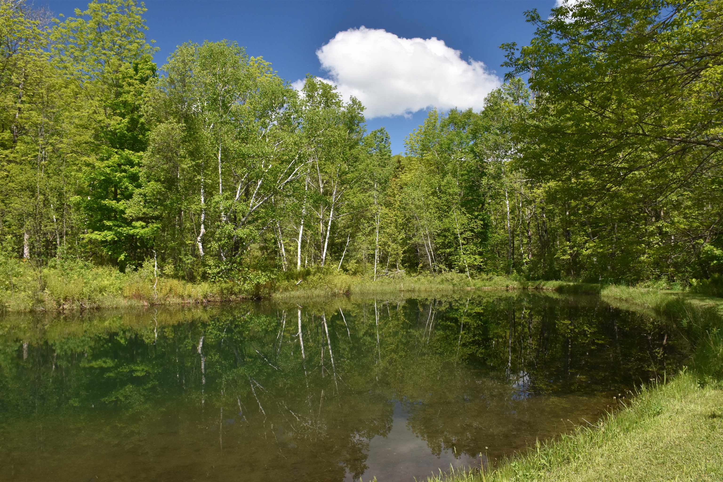 1574 Weir Road Williamstown, VT 05679 - Photo 45 of 60
