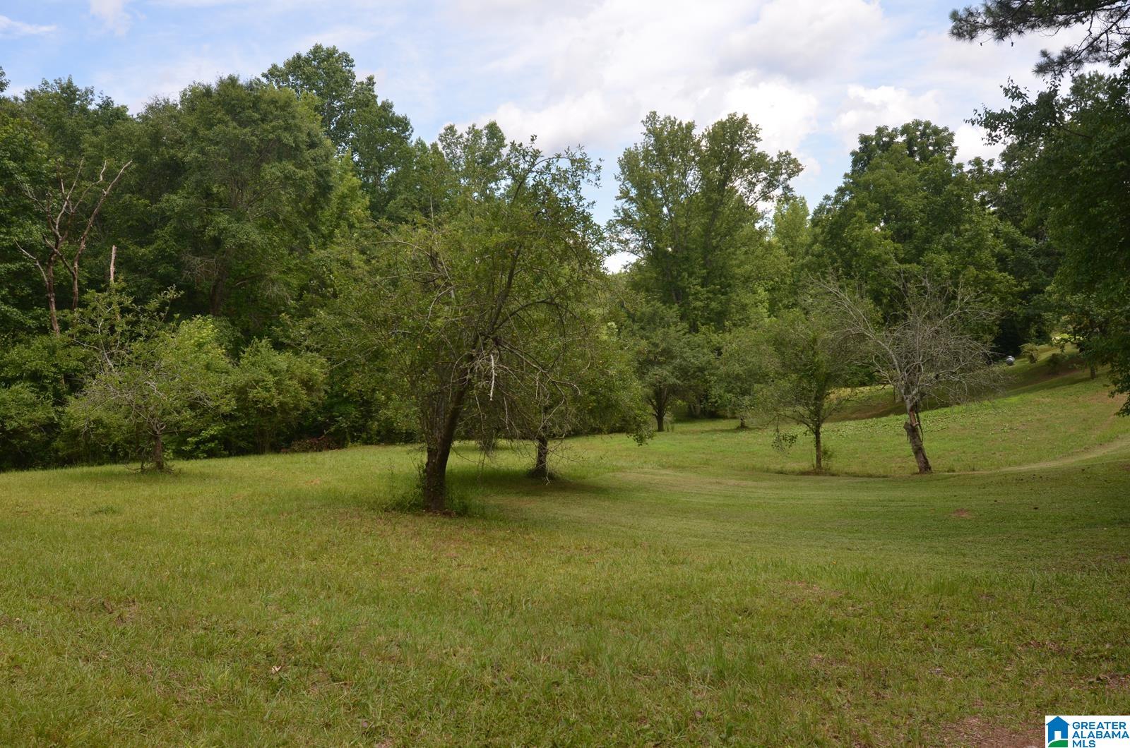 12691 Highway 46 Heflin, AL 36264 - Photo 32 of 63