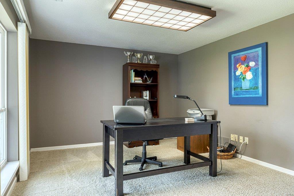 268 Ashdown Forest Weldon Spring, MO 63304 - Photo 39 of 48