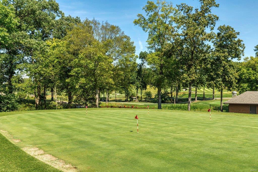 268 Ashdown Forest Weldon Spring, MO 63304 - Photo 5 of 48