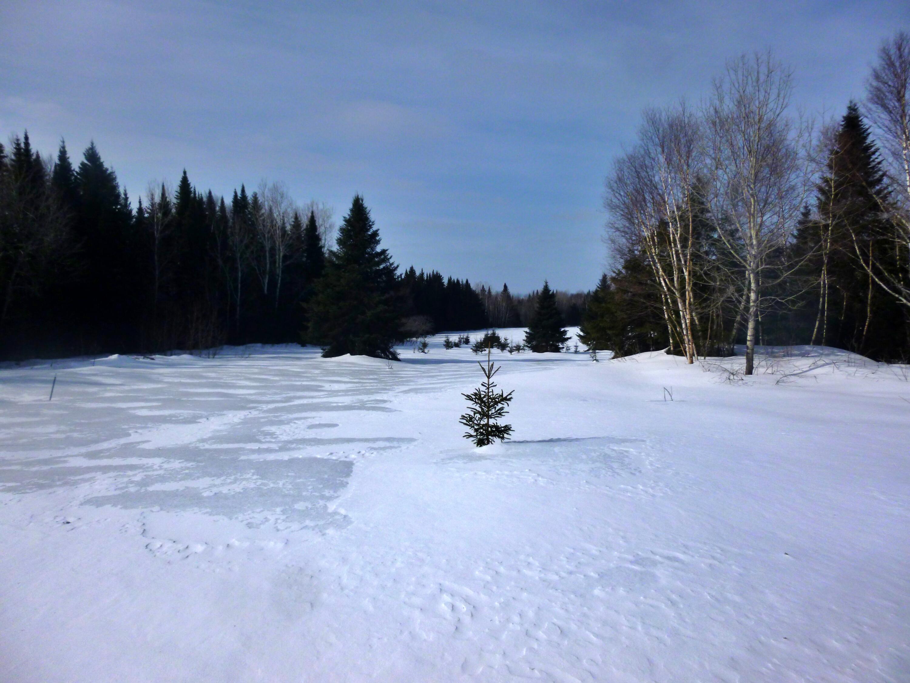 4459 Aroostook Road Winterville Plt, ME 04739 - Photo 16 of 21 Terry Winterville P1030534