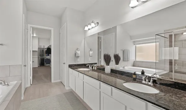 a bathroom with a tub a sink and a shower