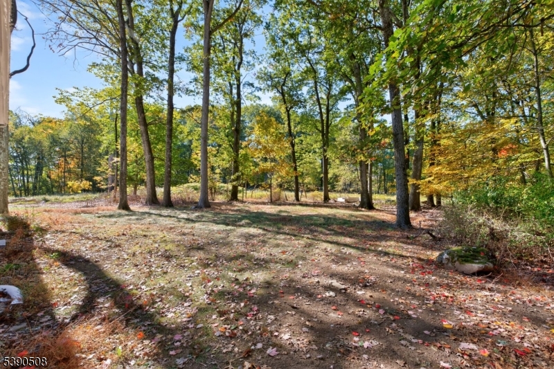 150 Mt Olive Road Flanders, NJ 07836 - Photo 18 of 18