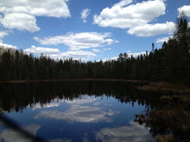 40-acres Hilts Lake Road Rhinelander, WI 54501 - Photo 11 of 18 Gallery Image 11
