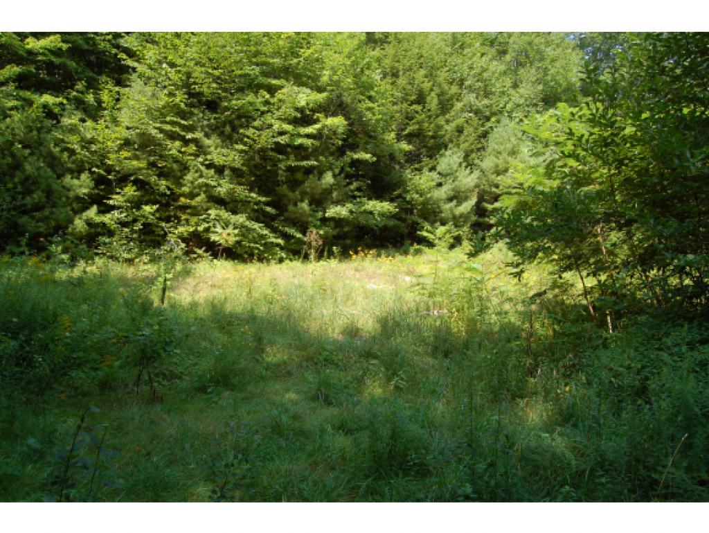 140 Moose Mountain Road Brookfield, NH 03872 - Photo 16 of 24