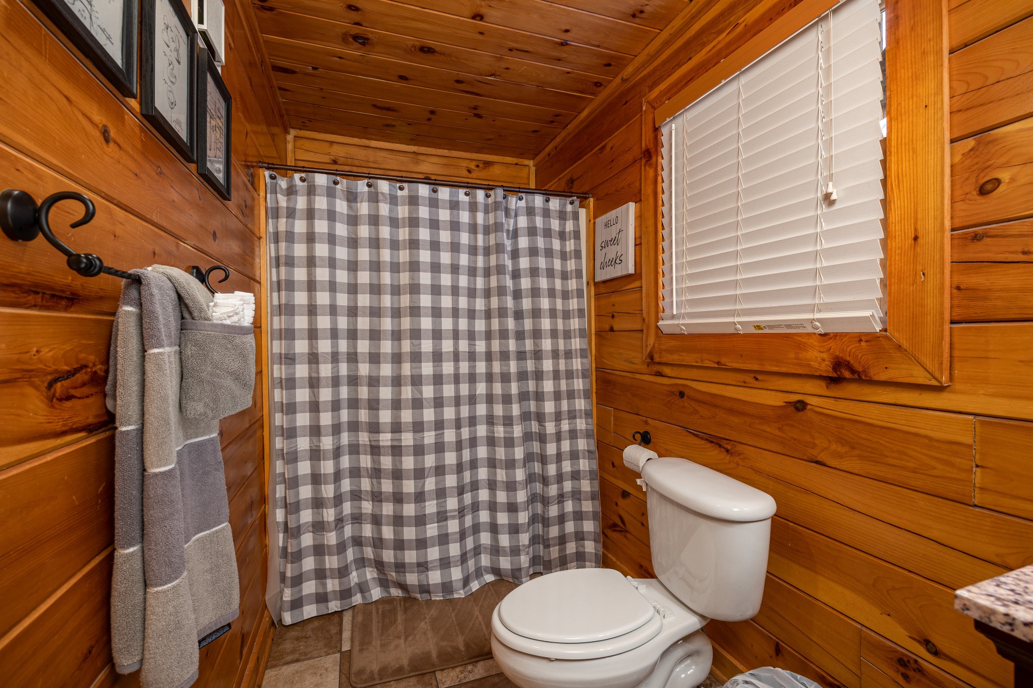 703 Ridgewood Way Pigeon Forge, TN 37863 - Photo 18 of 43 Gallery Image 18