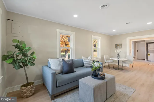 a living room with furniture potted plant and a window