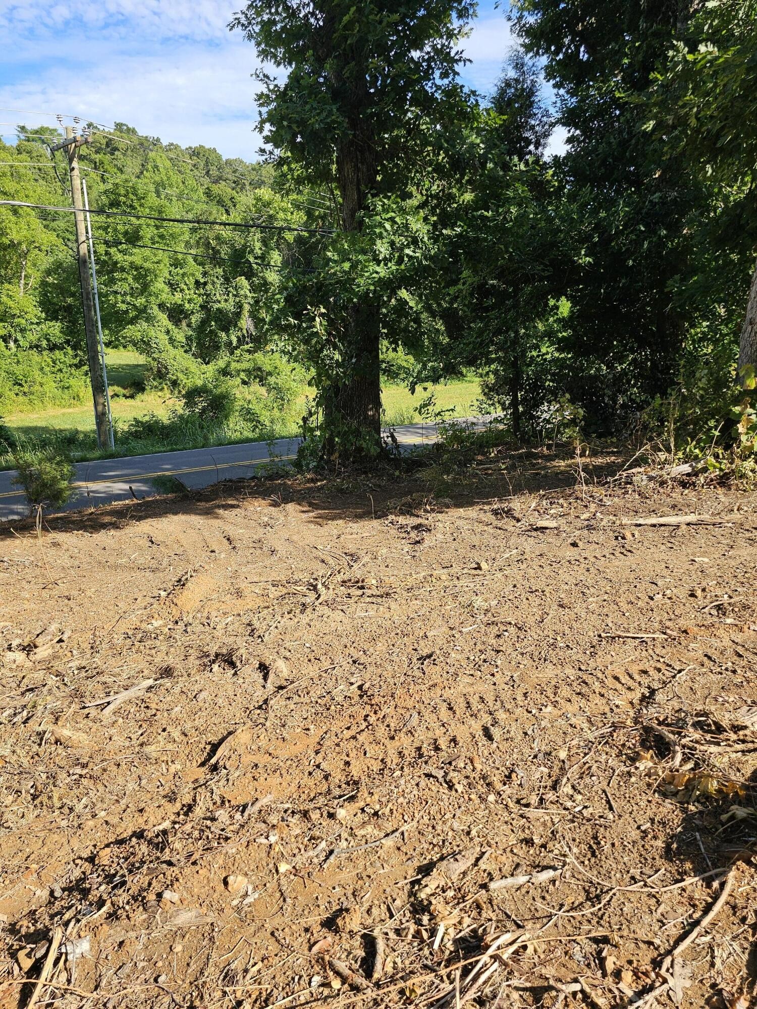 0 Old Stage Road Spring City, TN 37381 - Photo 6 of 12 Gallery Image 6