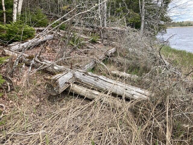 Lot 1 Point Street Addison, ME 04606 - Photo 5 of 7 5ff2580c-bae6-4278-8383-86df6c6754e2
