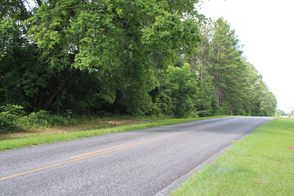0 Pataula Park Road Georgetown, GA 39854 - Photo 7 of 12