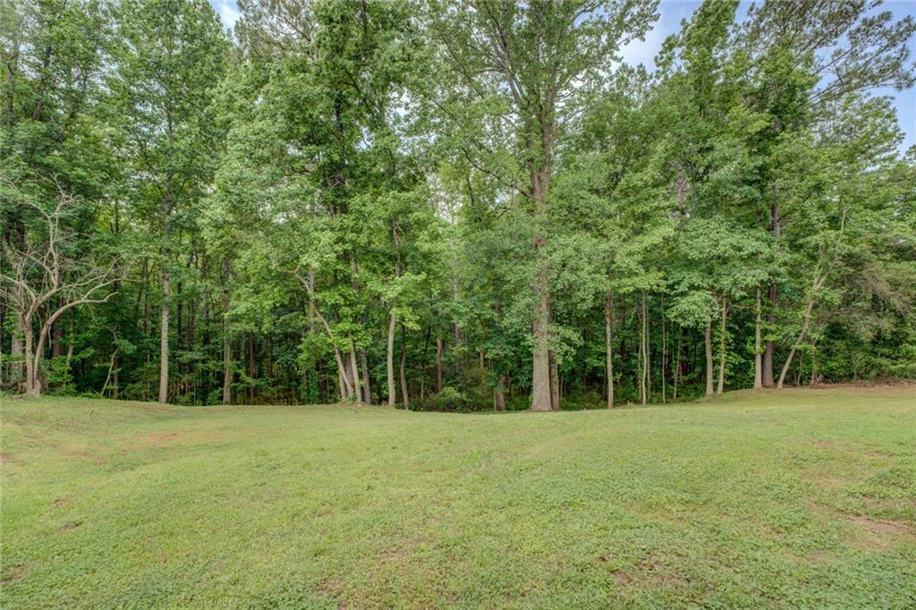 170 Hidden Pines Drive Covington, GA 30016 - Photo 22 of 22 a backyard of a house with large trees