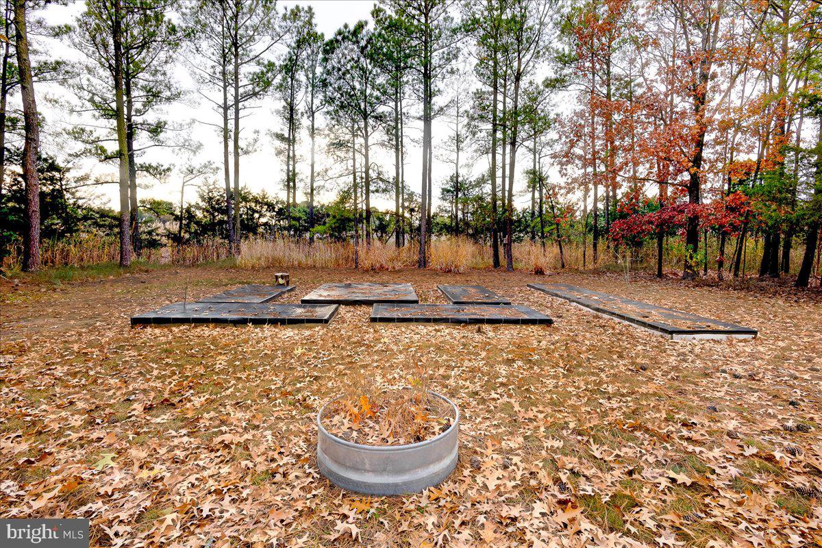 4491 Bachelors Point Road Oxford, MD 21654 - Photo 36 of 64