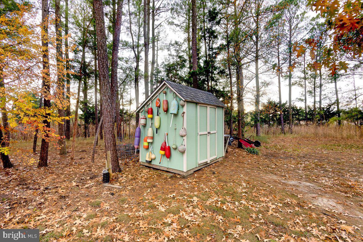 4491 Bachelors Point Road Oxford, MD 21654 - Photo 37 of 64