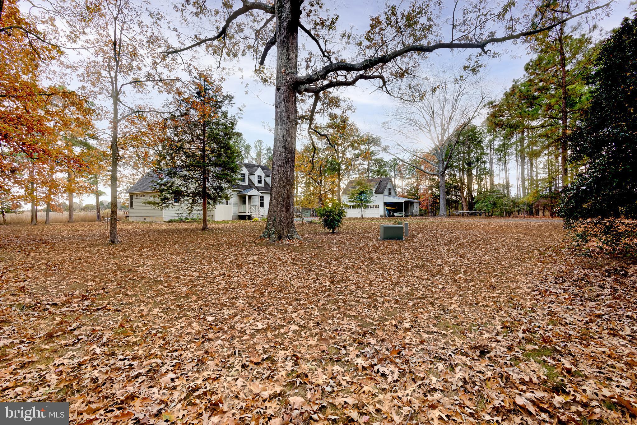 4491 Bachelors Point Road Oxford, MD 21654 - Photo 43 of 69