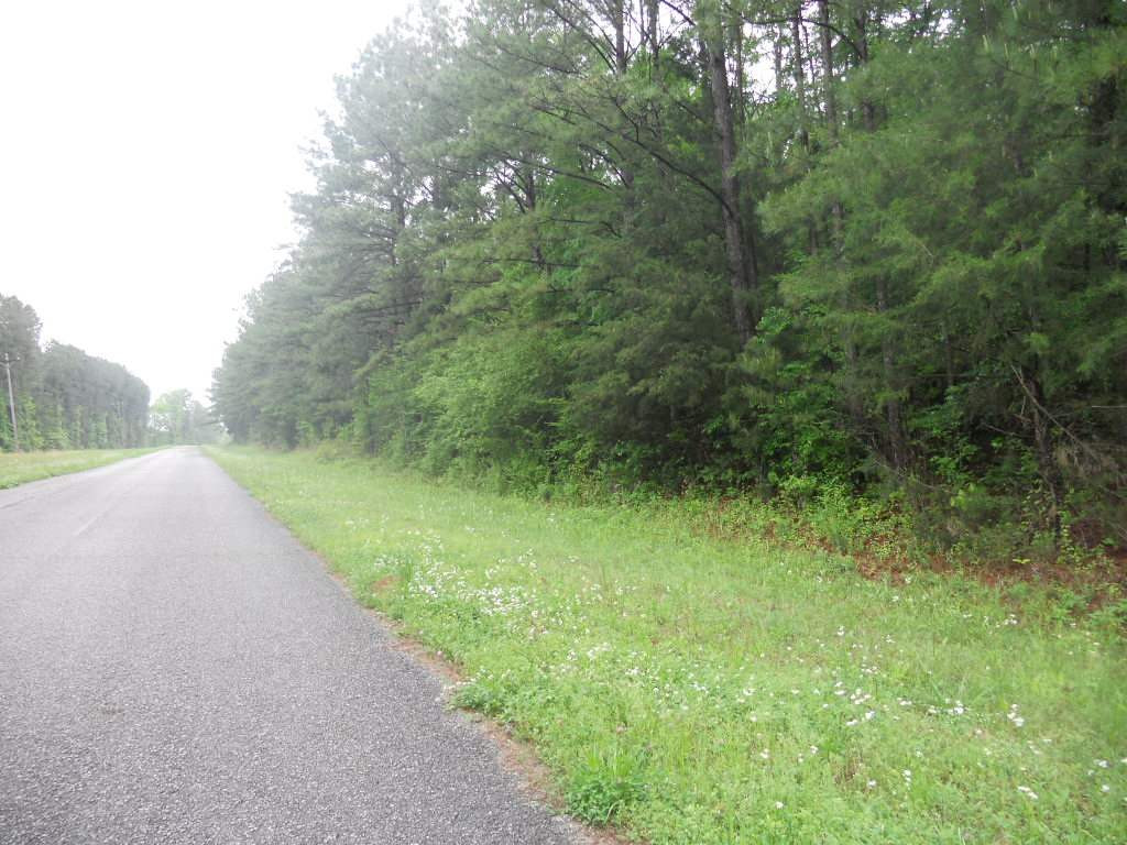 0 Hopewell Road Lake, MS 39092 - Photo 2 of 2 Photo 2