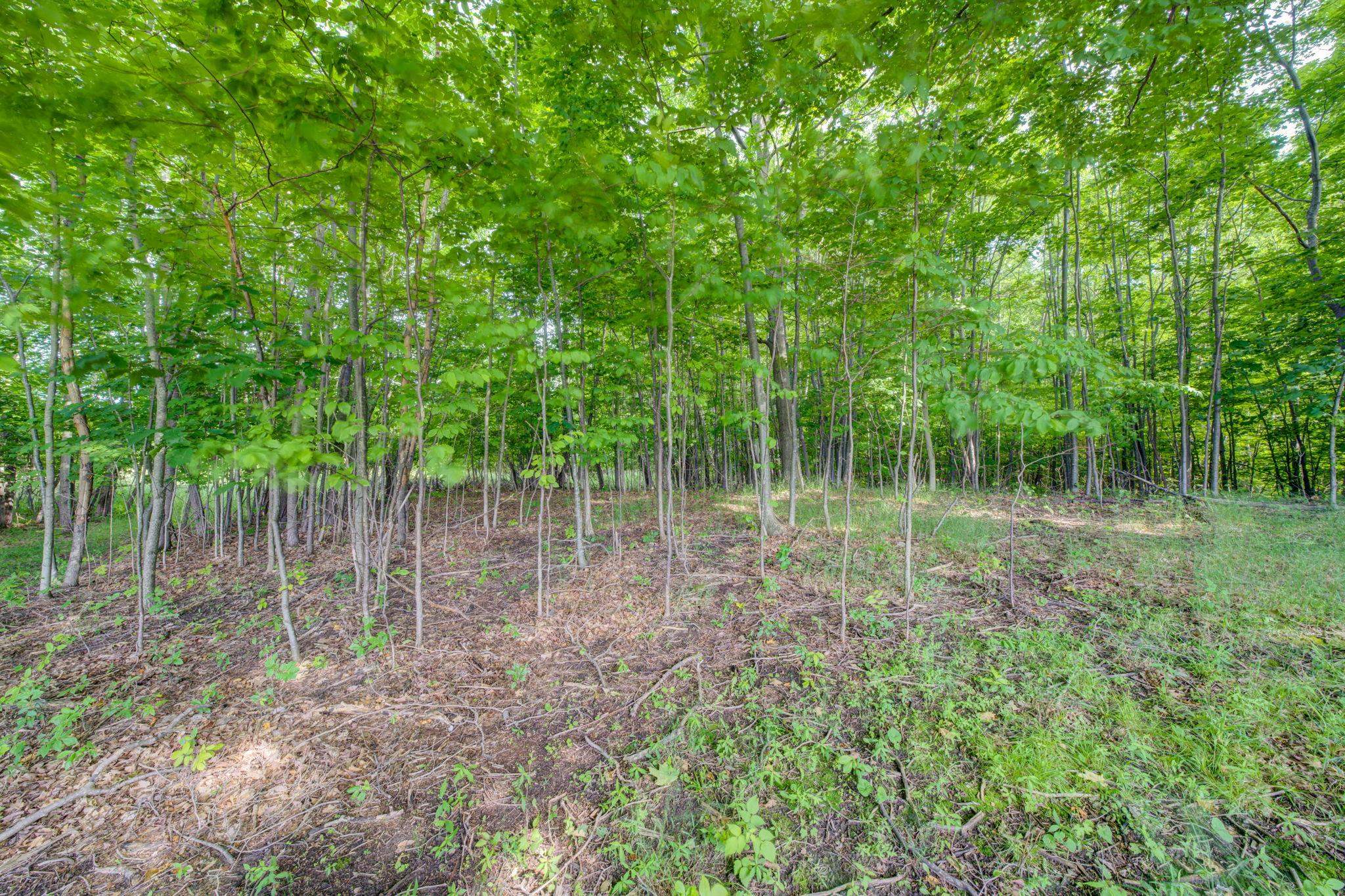 Lot 9 West Harbour Ridge Drive Maple City, MI 49664 - Photo 15 of 24 1947403-c50cab53-acb8-45e7-9561-6dc612786e8c.JPG