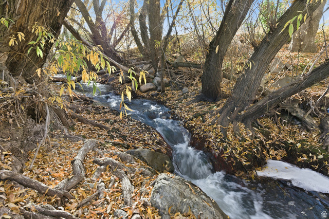 1038 South Old Towne Road Layton, UT 84041 - Photo 30 of 39 Natural water feature with flowing stream, surrounded by mature trees with visible roots, and a ground covering of fallen leaves