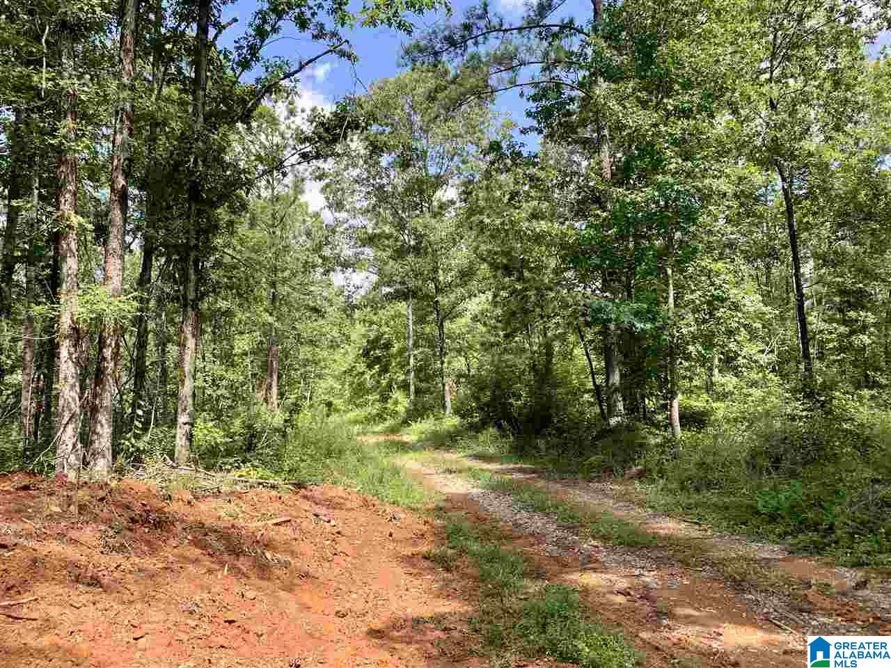 0 Brown Road Calera, AL 35040 - Photo 7 of 18