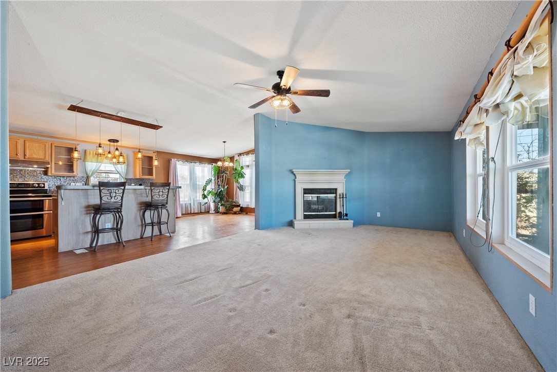 1391 East Casey Road Pahrump, NV 89048 - Photo 5 of 40 Unfurnished living room with carpet flooring, a ce