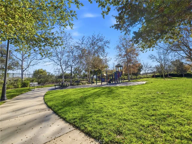 a view of a park with large trees