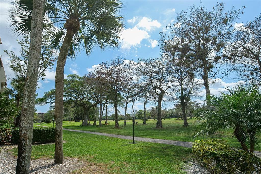 6100 Northwest 44th Street, Unit 307 Lauderhill, FL 33319 - Photo 46 of 54 a view of a park with palm trees