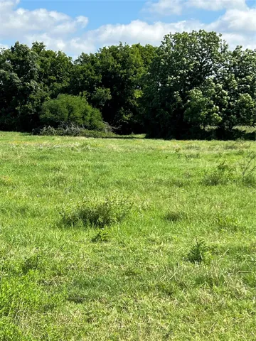 a view of garden with trees