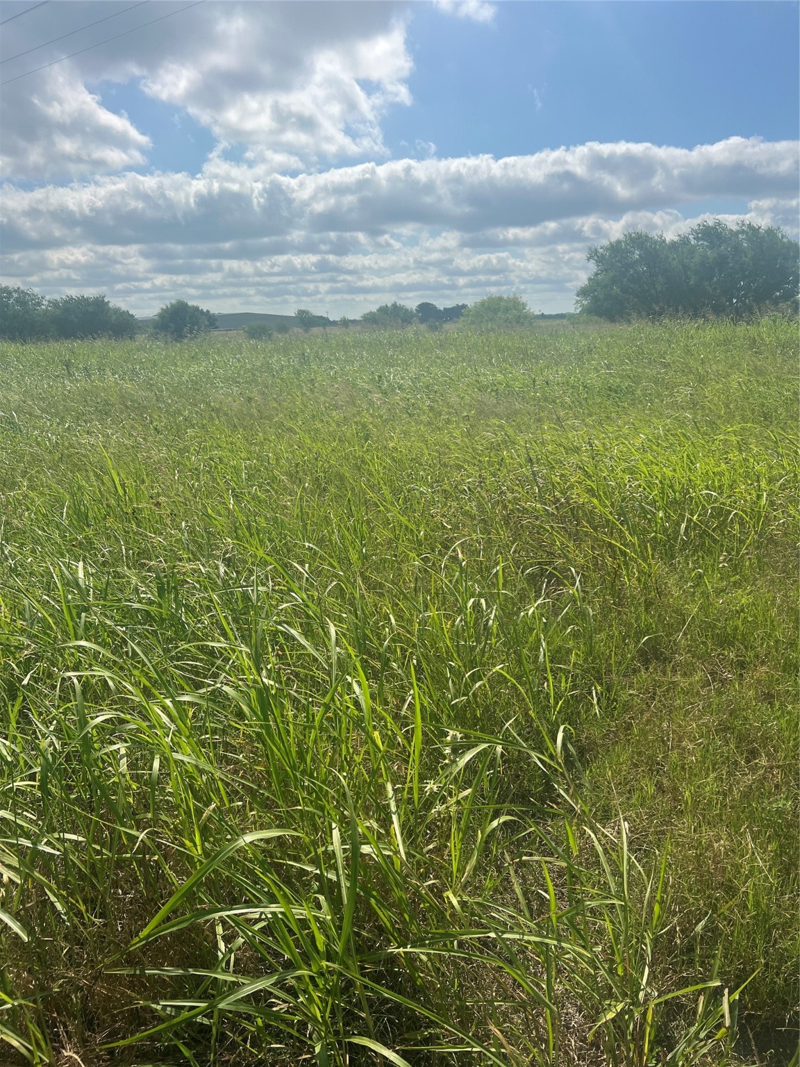 399 Prune Road La Grange, TX 78945 - Photo 3 of 5