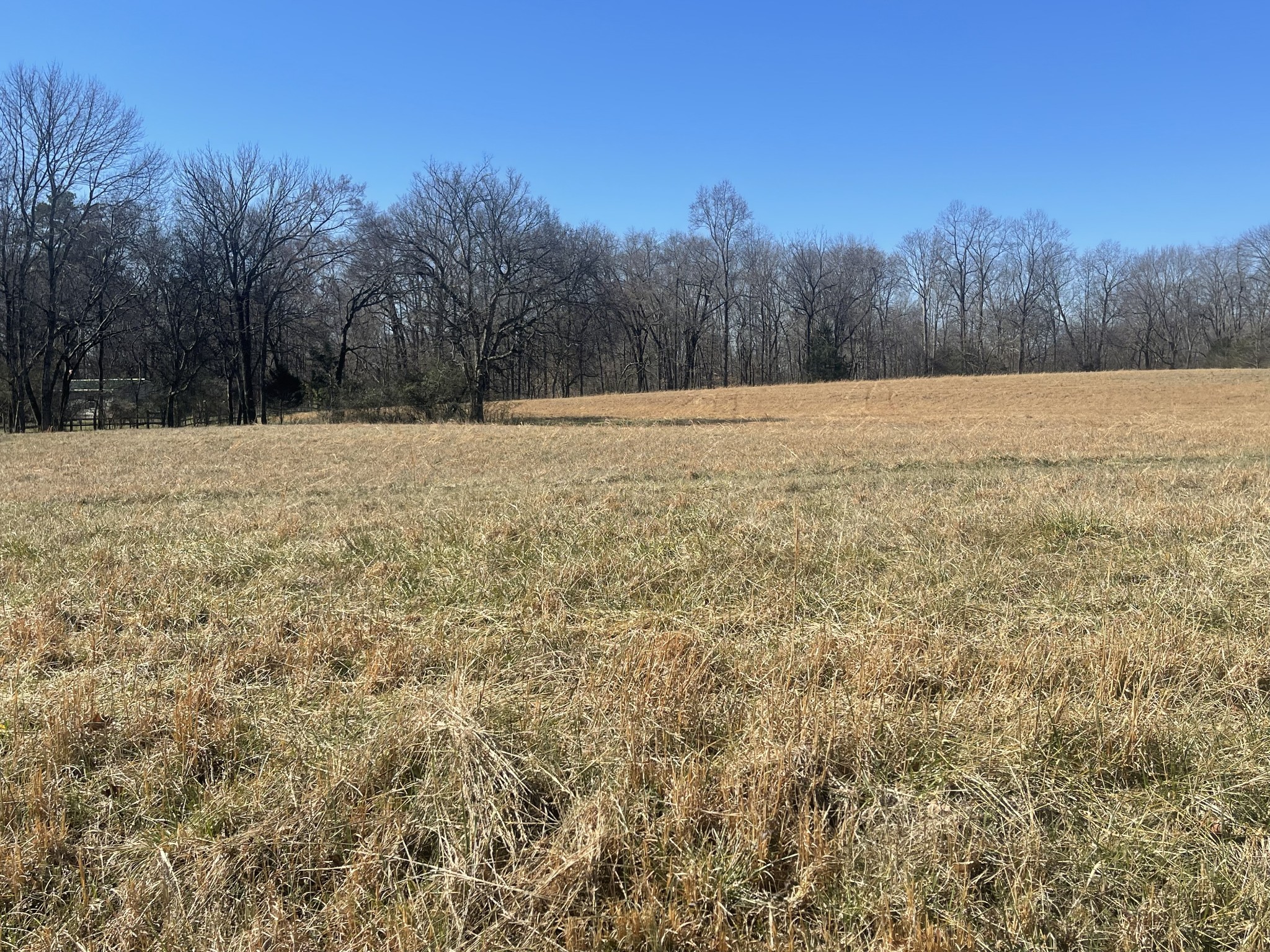 0 North Howard Fitch Road Kelso, TN 37348 - Photo 14 of 15 Gallery Image 14