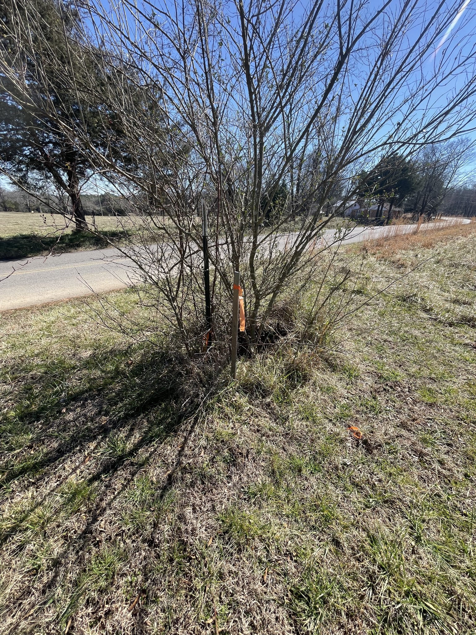 0 North Howard Fitch Road Kelso, TN 37348 - Photo 15 of 15 Gallery Image 15