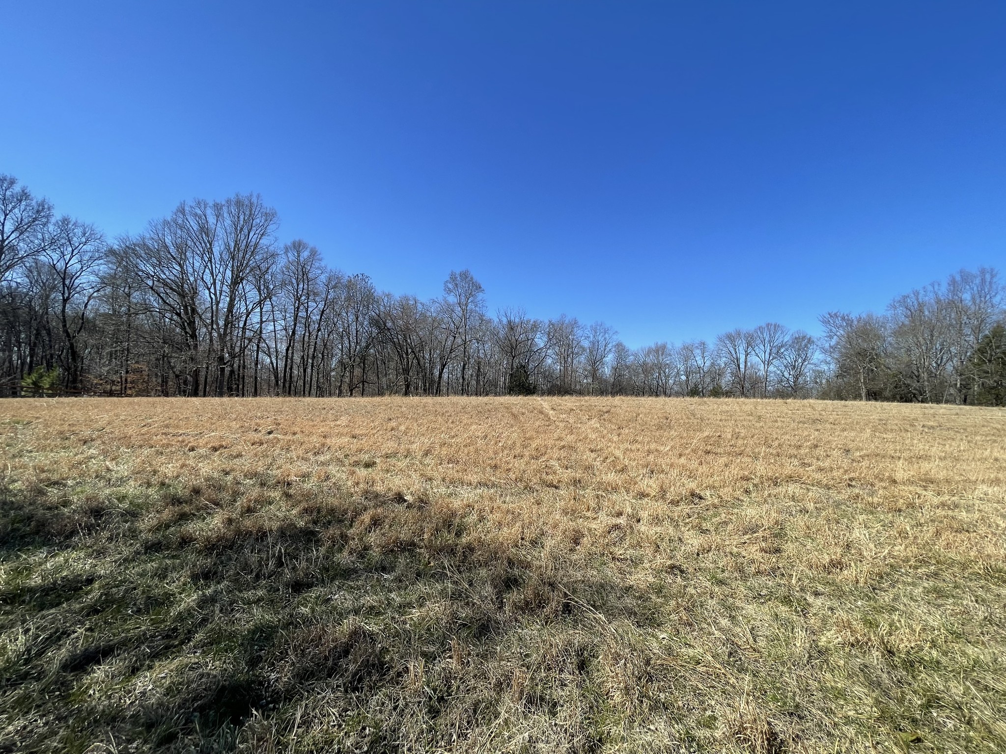 0 North Howard Fitch Road Kelso, TN 37348 - Photo 8 of 15 Gallery Image 8