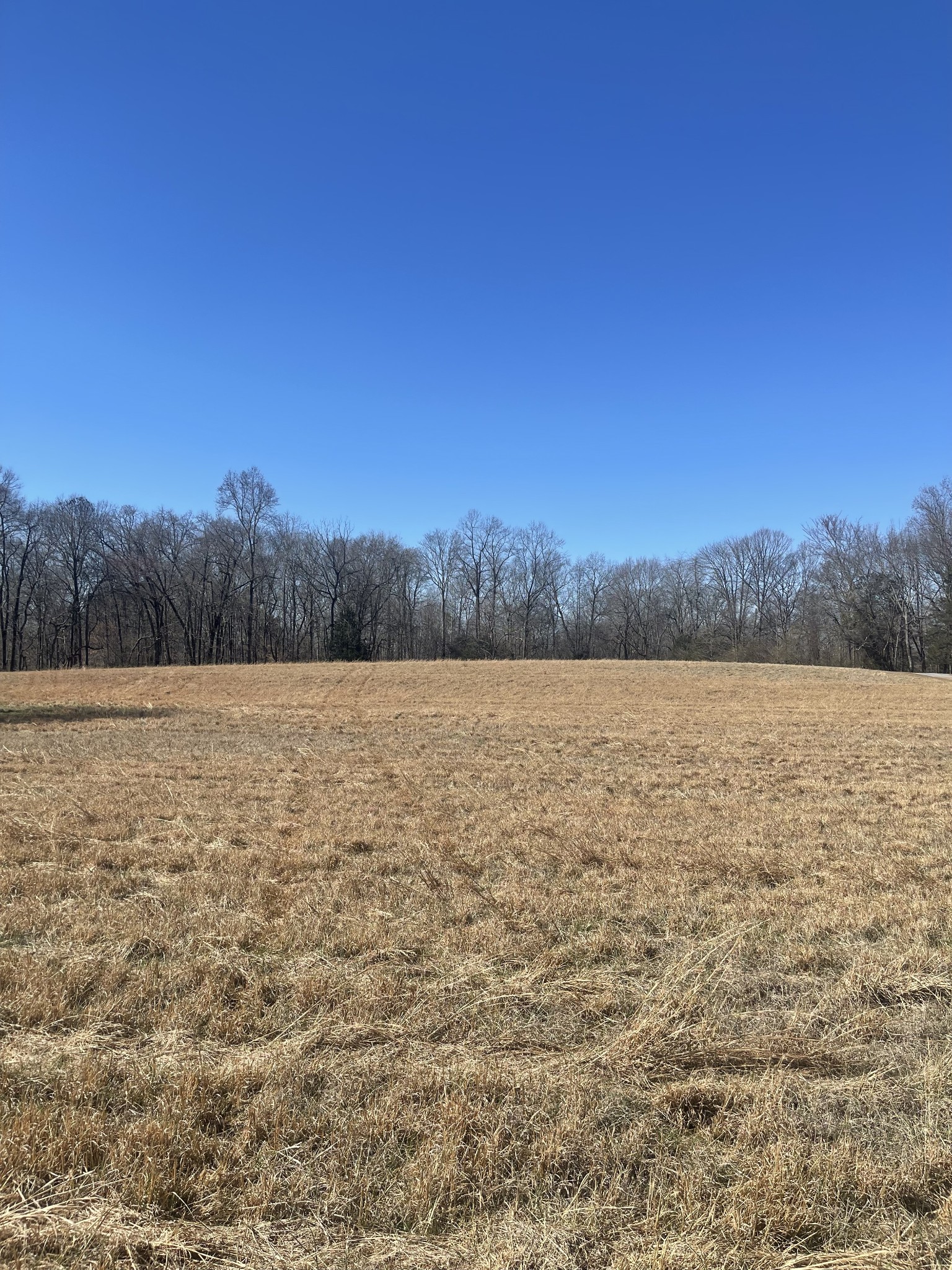 0 North Howard Fitch Road Kelso, TN 37348 - Photo 9 of 15 Gallery Image 9