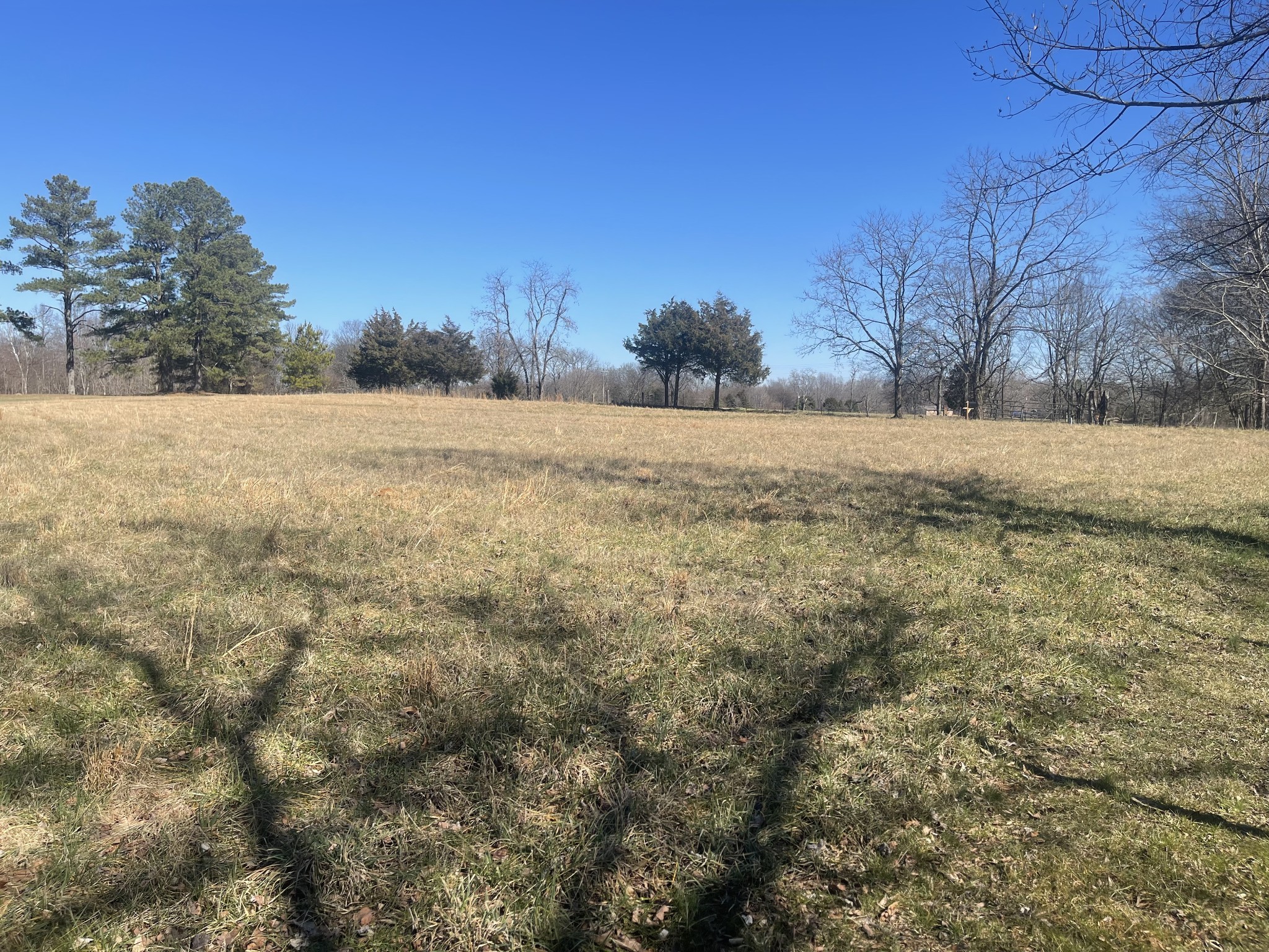 0 North Howard Fitch Road Kelso, TN 37348 - Photo 10 of 15 Gallery Image 10