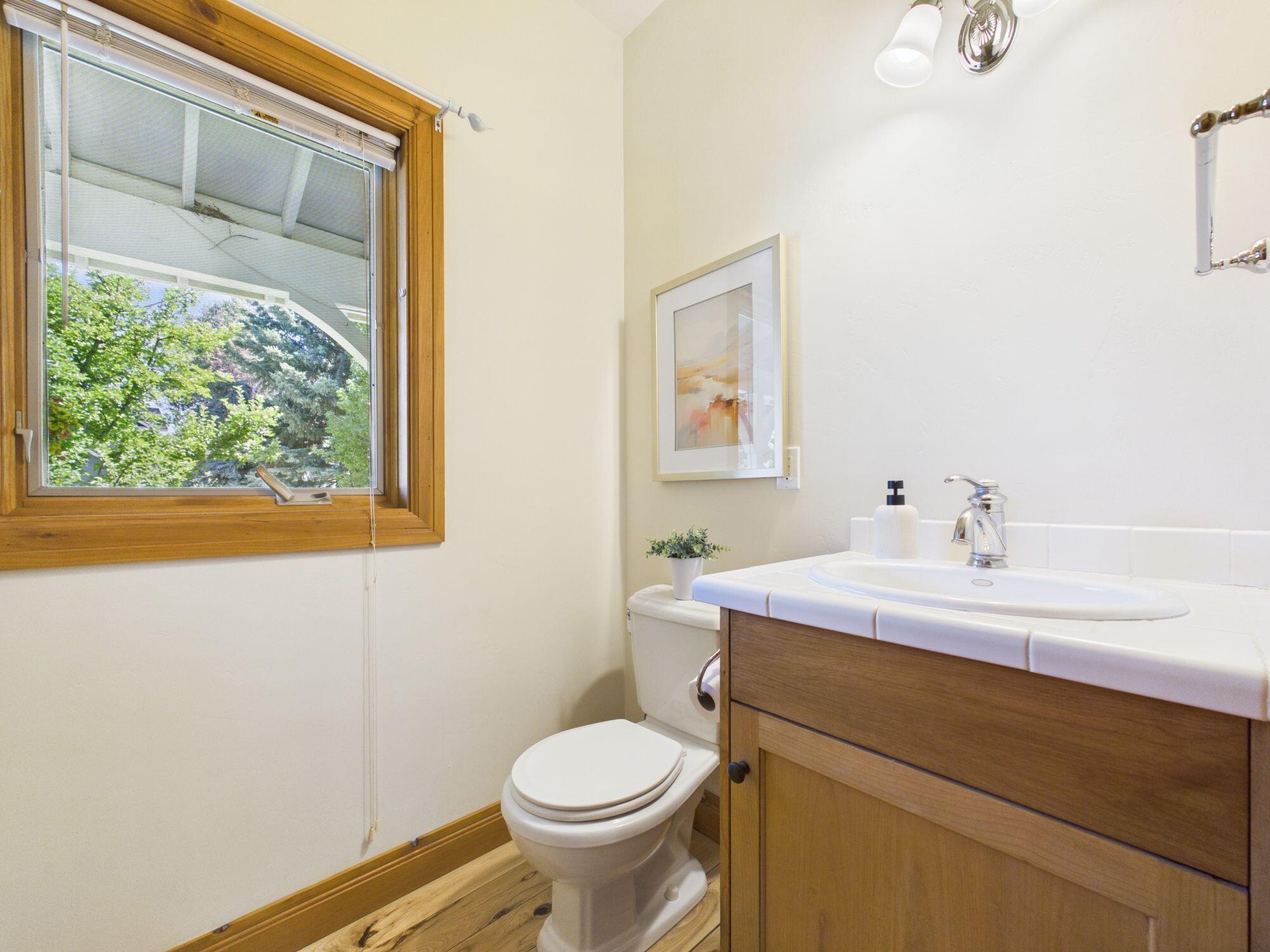 721 Hailey Drive Hailey, ID 83333 - Photo 21 of 26 Main Flr Powder Bath