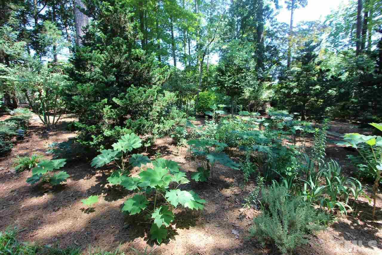 7004 North Ridge Drive Raleigh, NC 27615 - Photo 8 of 27