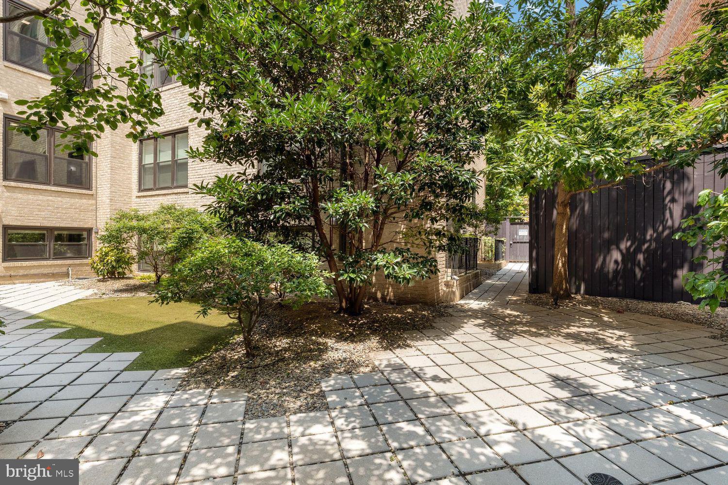 2331 15th Street Northwest, Unit 108N Washington, DC 20009 - Photo 20 of 25 a view of a yard with plants and trees