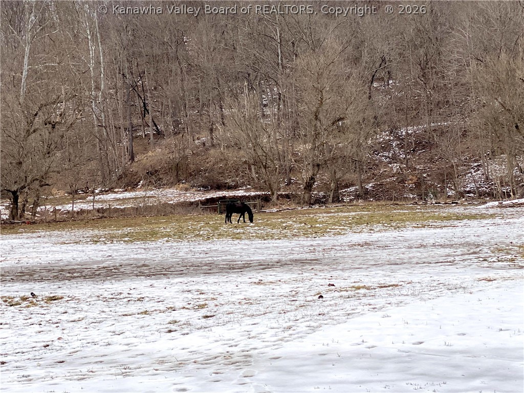 1055 Gun Club Road Letart, WV 25253 - Photo 41 of 45 Gallery Image 41