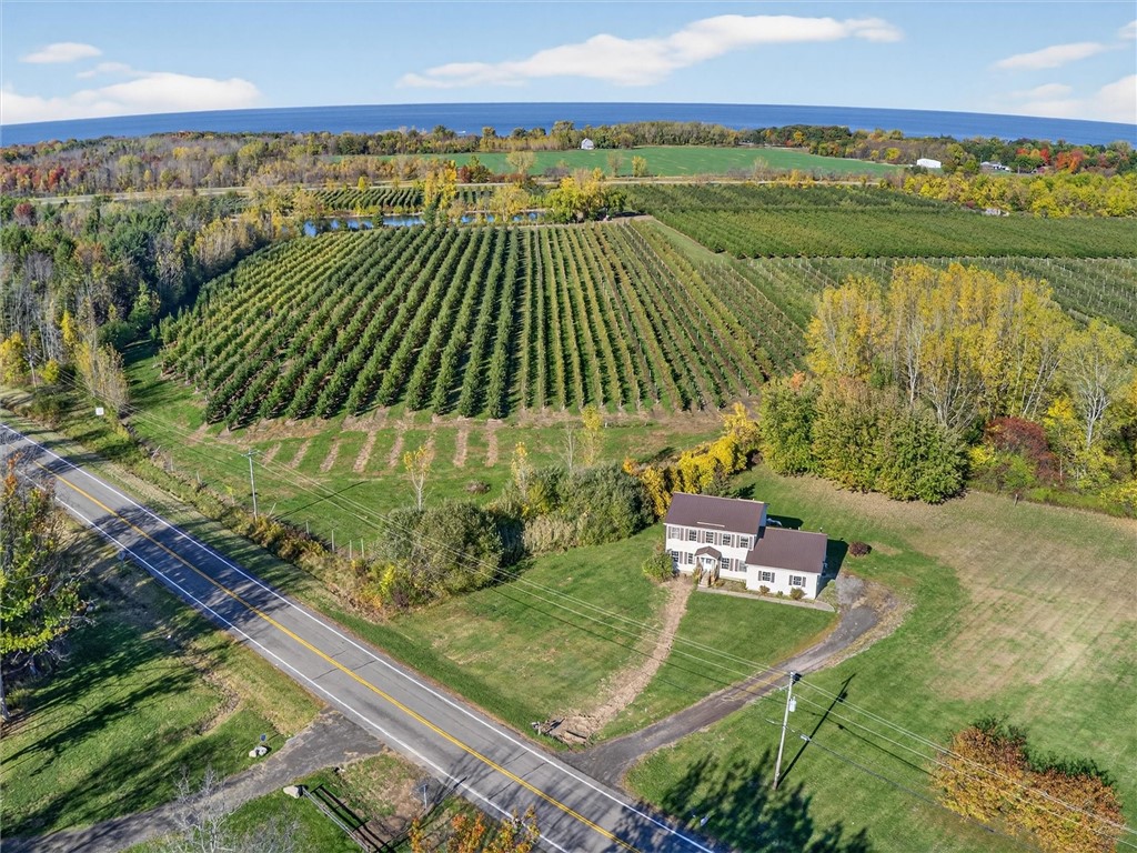 1196 Archbald Road Carlton, NY 14571 - Photo 47 of 49