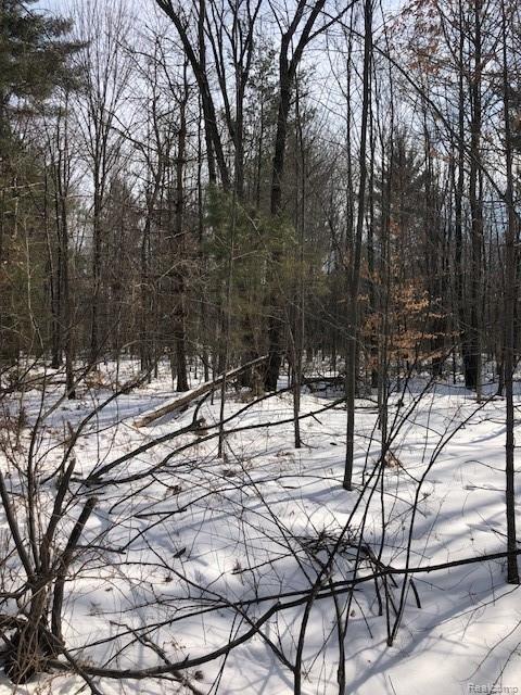 0 Gun Club Road Caro, MI 48723 - Photo 4 of 6