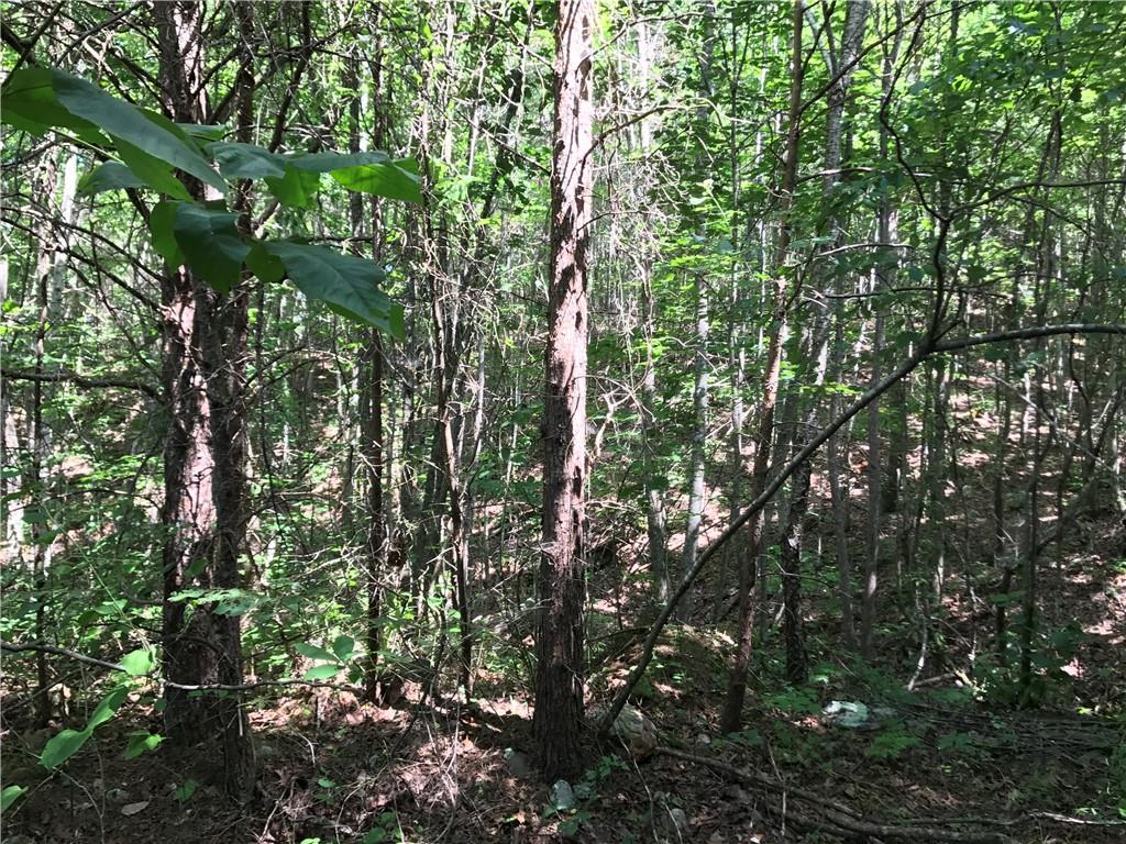 587 East Valley Road Northeast Rydal, GA 30171 - Photo 11 of 18