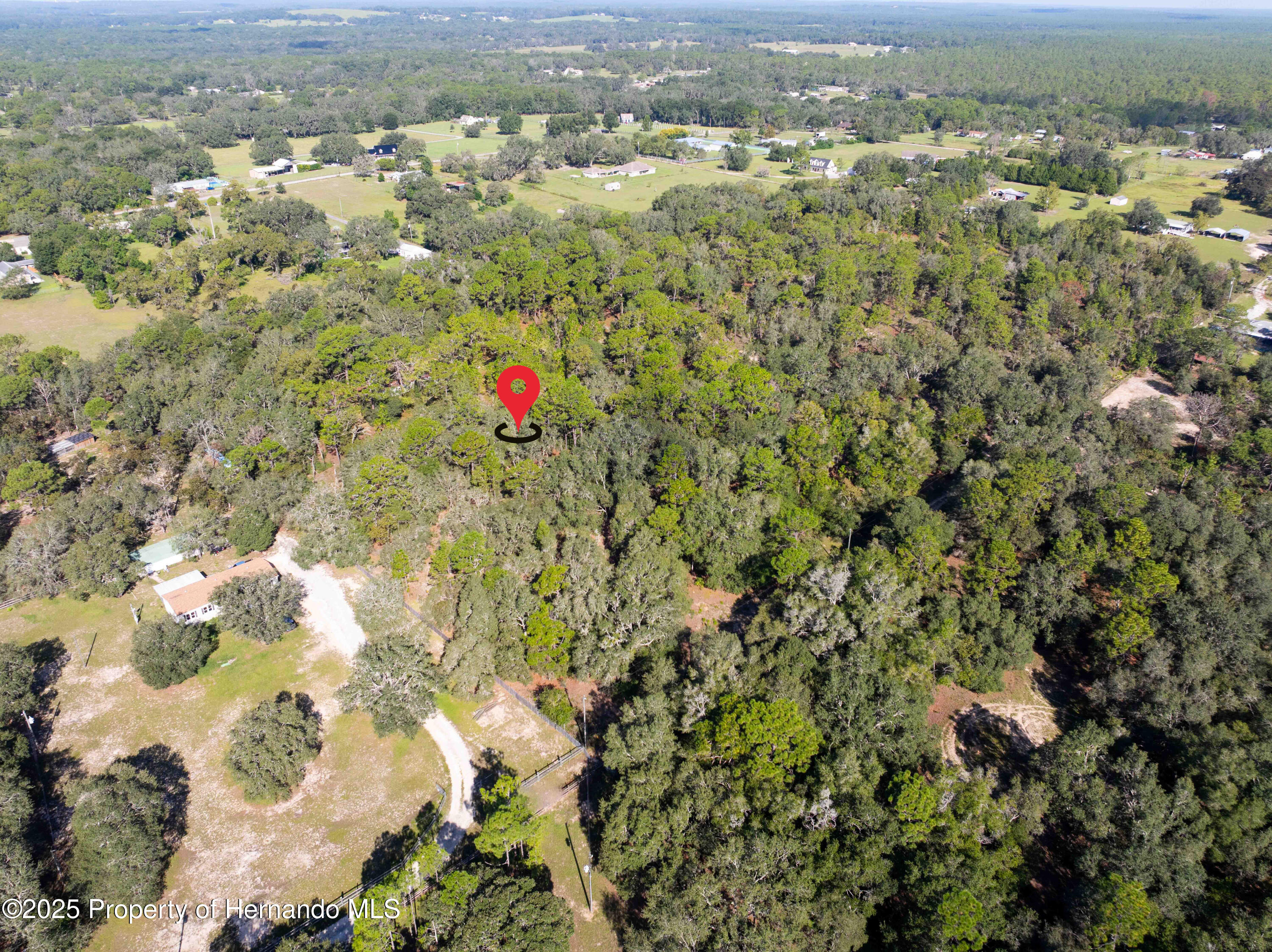 0 Cart Path Brooksville, FL 34602 - Photo 3 of 12