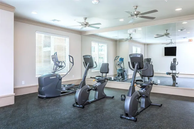 a living room with furniture potted plant and floor to ceiling windows